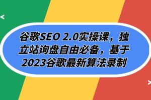 谷歌SEO 2.0实操课，独立站询盘自由必备，基于2023谷歌最新算法录制（94节）