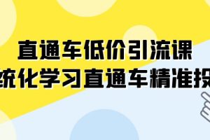 直通车-低价引流课，系统化学习直通车精准投放（14节课）