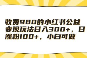 收费980的小红书公益变现玩法日入300+，日涨粉100+，小白可做