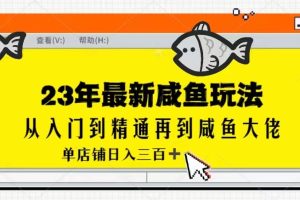 2023最新闲鱼实战课，从入门到精通再到闲鱼大佬，单号日入300+（更新）