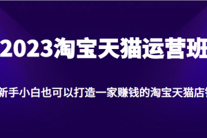 2023淘宝天猫运营班，新手小白也可以打造一家赚钱的淘宝天猫店铺