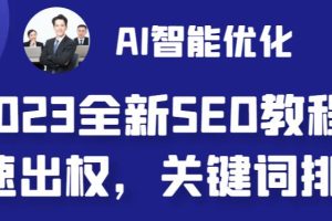 2023最新网站AI智能优化SEO教程，简单快速出权重，AI自动写文章+AI绘画配图