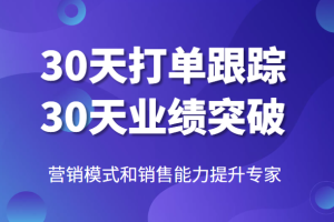 营销模式和销售能力提升专家，30天打单跟踪，30天业绩突破！