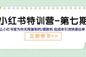 小红书特训营-第七期 让小红书变为你无限复制的提款机 低成本引流快速出单