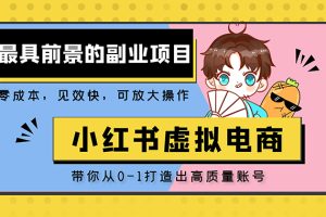 小红书蓝海大市场虚拟电商项目，手把手带你打造出日赚2000+高质量红薯账号