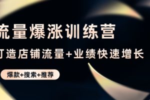 流量爆涨训练营：打造店铺流量+业绩快速增长 (爆款+搜索+推荐)【无水印】