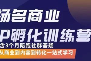 商业IP孵化训练营，从商业到内容到转化一站式学 价值5980元（无水印）