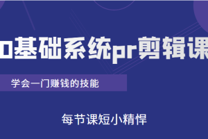 短视频0基础系统pr剪辑课：学会一门赚钱的技能，每节课短小精悍