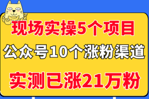 现场实操5个公众号项目，10个涨粉渠道，实测已涨21万粉！（无水印）