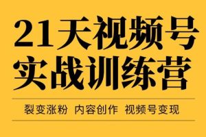 21天视频号实战训练营，裂变涨粉、内容创作、视频号变现（价值298元）