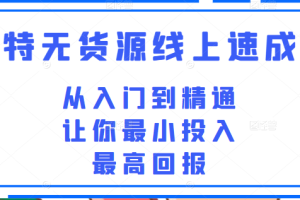 淘特无货源线上速成课，从入门到精通，让你最小投入，最高回报