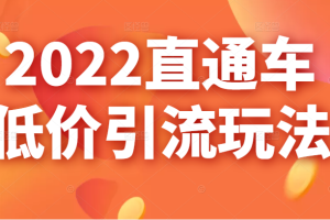 2022直通车低价引流玩法，教大家如何低投入高回报的直通车玩法