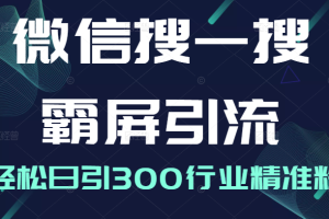 微信搜一搜霸屏引流课，打造被动精准引流系统，轻松日引300行业精准粉