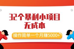 最新32个暴利小项目，无成本、操作简单一个月赚5000+