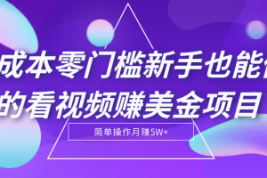 零成本零门槛新手也能做的看视频赚美金项目，轻松月赚5W+【视频教程】