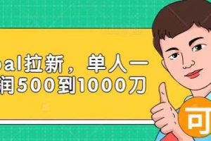 Paypal拉新赚美刀项目，单人一天利润500-1000刀【视频课程】