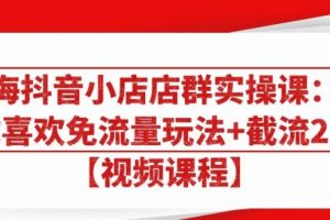 大海抖音小店店群实操课：猜你喜欢免流量玩法+截流2.0