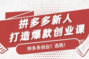 拼多多新人打造爆款创业课：快速引流持续出单，适用于所有新人（无水印）