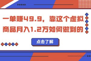 一单赚49.9，超级蓝海赛道，靠小红书卖这个虚拟商品，一个月1.2w是怎么做到的