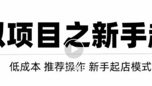 虚拟项目快速起店模式，0成本打造月入几万虚拟店铺！【视频教程】