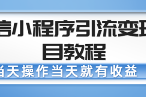 微信小程序引流变现项目教程，当天操作当天就有收益，变现不再是难事【无水印】