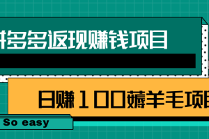 拼多多返现赚钱项目，简单操作轻松日赚100+薅羊毛项目【视频教程】