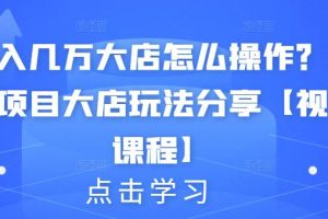 月入几万大店怎么操作？虚拟项目大店玩法分享！【视频教程】