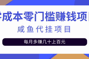 揭秘：零成本零门槛日赚500+，人人可做的咸鱼代挂项目【视频教程】