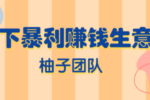 柚子项目课程分享：线下暴利赚钱生意，日赚800+的地摊香石生意