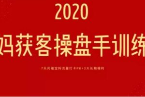 宝妈获客项目操盘手训练营，两大超级流量洼地，日引1000+批量化操作