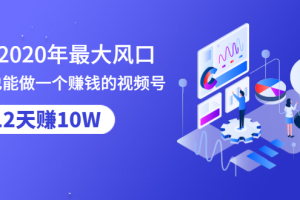 抓住2020年最大风口，小白也能做一个赚钱视频号，12天赚10W（赠送爆款拆解)