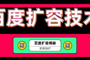 价值699元百度扩容最新技术，实测扩容300T，上手即可接单，日赚1000+（全套资料）